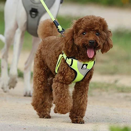 Dog Harness TLH5991 Anti Pullafety Vesttep-intyle Harness for S Neon Yellow