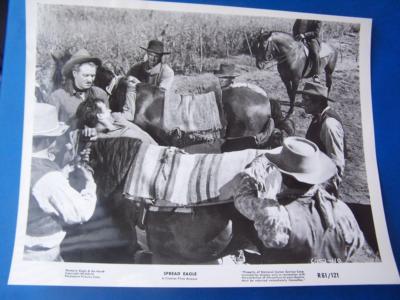 John Payne The Eagle and the Hawk. - Spread Eagle  - 10 x 8 - (code 796)