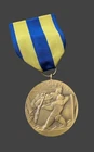 WW2 WWII US Military USN Navy Expeditionary Medal Expeditions Campaign
