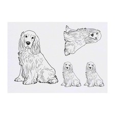 4 x 'Cocker Spaniel' Temporary Tattoos / Transfers TO00042507 