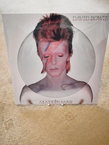 David Bowie  50th Anniversary Aladdin Sane Picture Disc Mint And Sealed