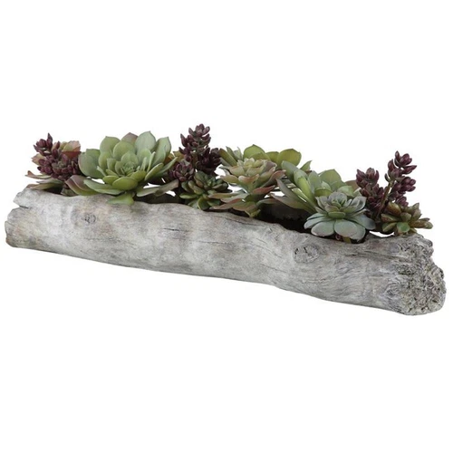 Uttermost Charita Contemporary Plastic Iron Cement Succulents in Green - Picture 2 of 4