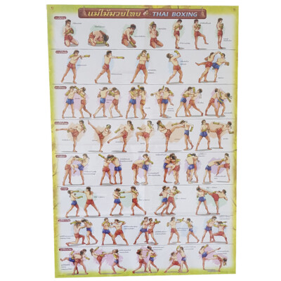 Muay Thai Poster mae mai muay thai training chart Thai boxing 