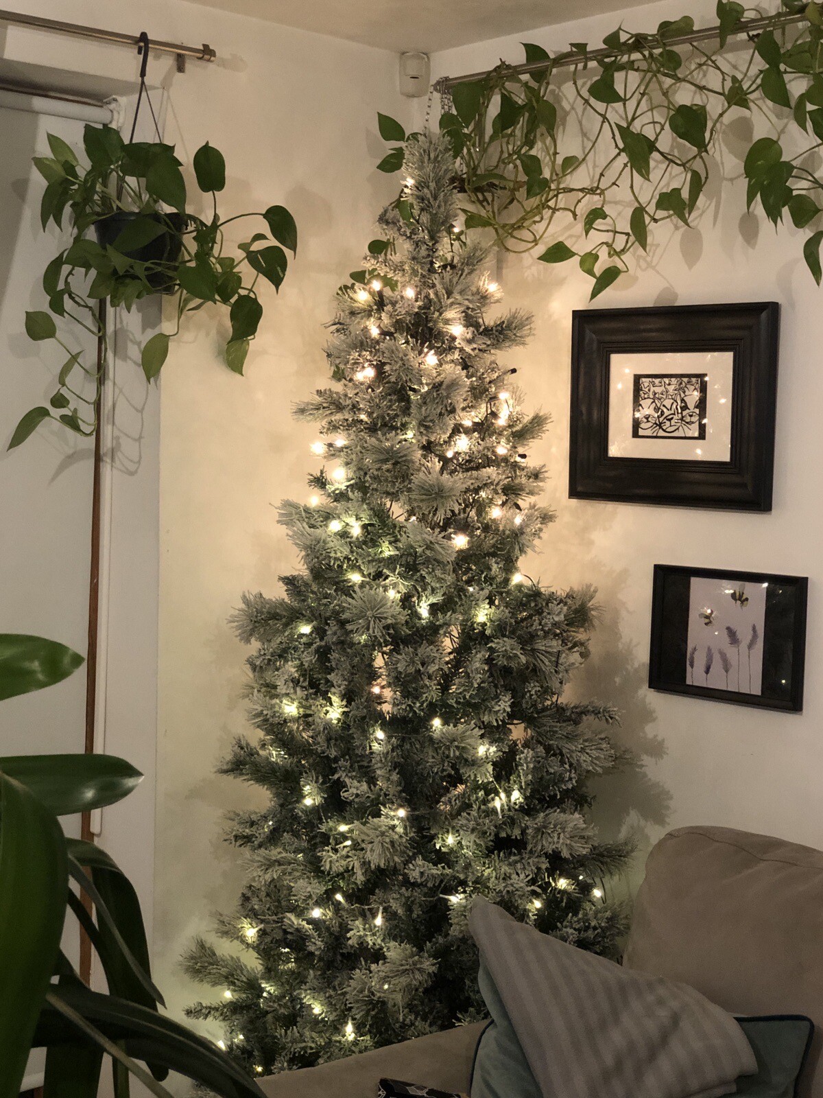 Slim PreLit Green Snow Covered Christmas Tree 7ft eBay