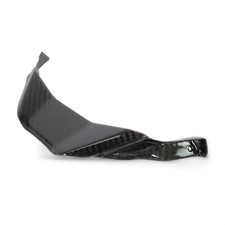 Carbon Scheinwerferblende Scheinwerferverkleidung für BMW S 1000 RR 2023 - 2024+
