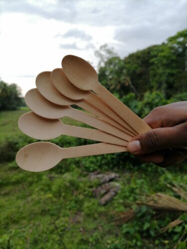 Spoon Wooden Flatware Set Oneida Spoons Tea Fork Soup Ice Bamboo New Cutlery - Picture 4 of 6