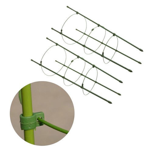 Climbing Rose Trellises Garden Trellis Plant Support Climbing Plants Cage