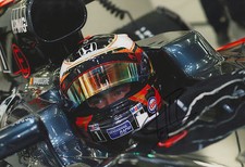 Stoffel Vandoorne "McLaren 2016" Autogramm signed 20x30 cm Bild
