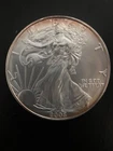 2005 Walking Liberty American Eagle US Silver Dollar