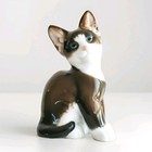 Rosenthal Porzellan Figur, Katze, Prof. Kärner, 1.Wahl, toller Zustand, von 1961