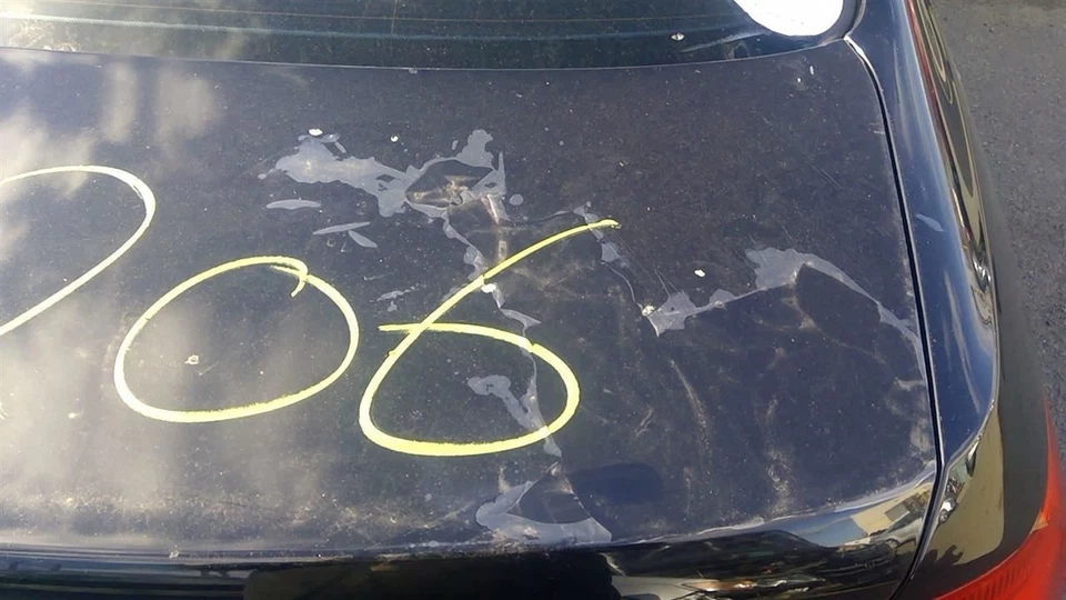 (LOCAL PICKUP ONLY) Trunk/Hatch/Tailgate Coupe Thru 3/09 Fits 07-09 BMW 328i 110 Foto 2 de 4