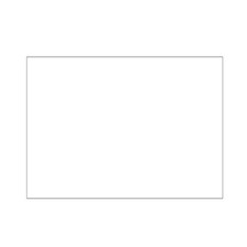 Screen Protector for Trimui Brick Game Console Protector Screen Tempered Film