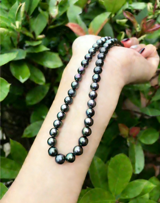 18inch AAA luster 9-8 MM real natural Tahitian black pearl