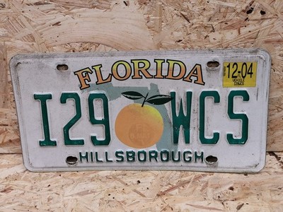 NUMMERNSCHILD USA FLORIDA ORANGEN GRAFIK _ HILLSBOROUGH COUNTY _ I29 WCS