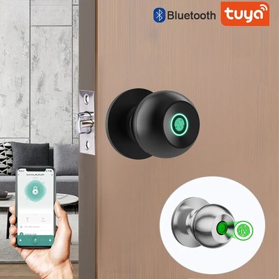 Tuya Biometric Fingerprint Smart Door Lock Electronic Lock Keyless Security Door