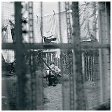Chaos and Creation in the Backyard von Paul McCartney | CD | Zustand sehr gut