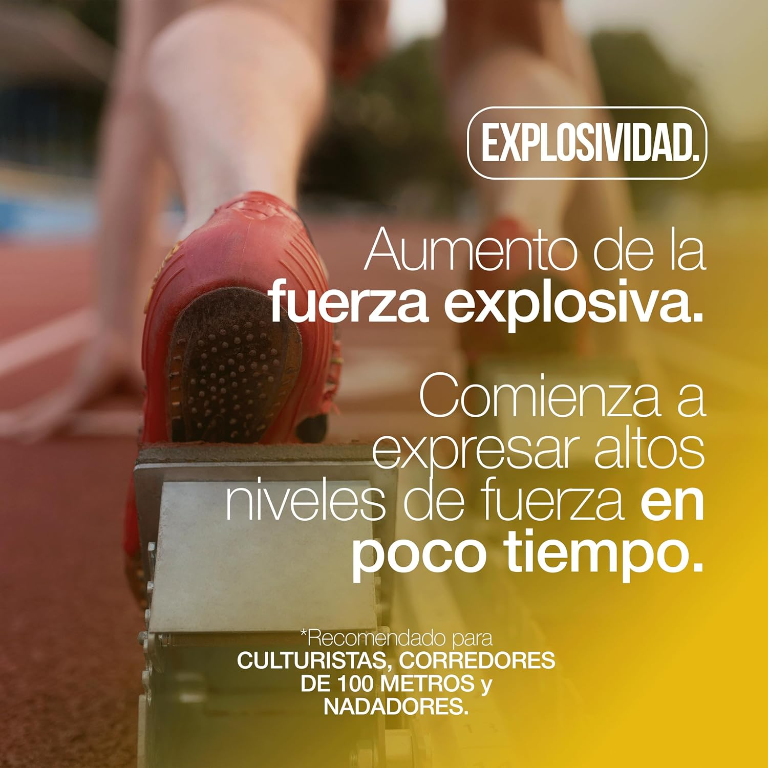 Imagen 5 de 12