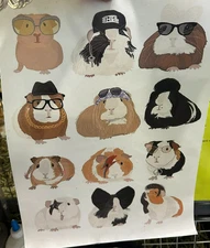 Canvas Print Guinea Pig Art 12 x 16 Wall Hang Frame Hat Ziggy Sia Rock Star Blue