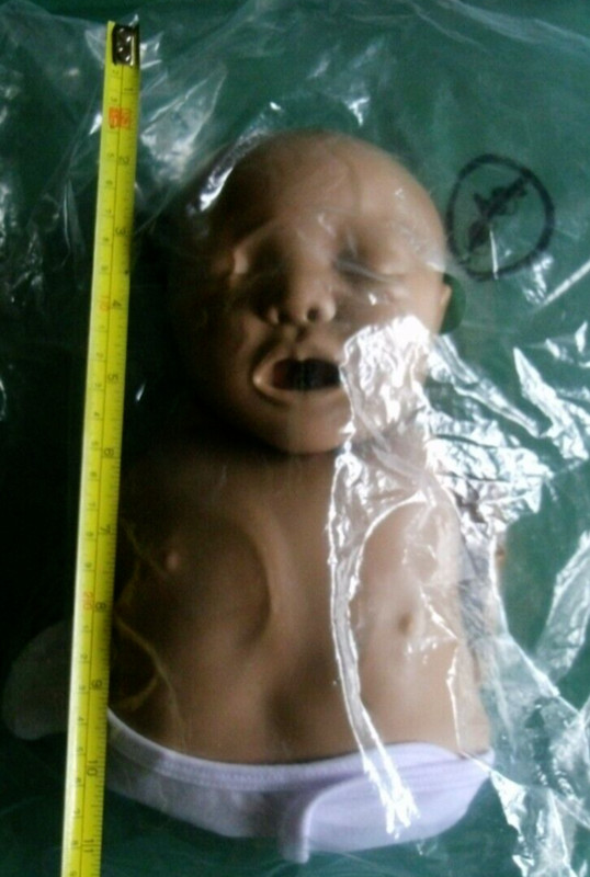 Infant Manikin-Baby CPR-Sealed & Unused-By CPR Anytime Training-Latex Free