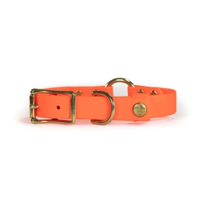 Upland & Downstream Cayuga Biothane Center Ring Collar - Premium Dog Collar