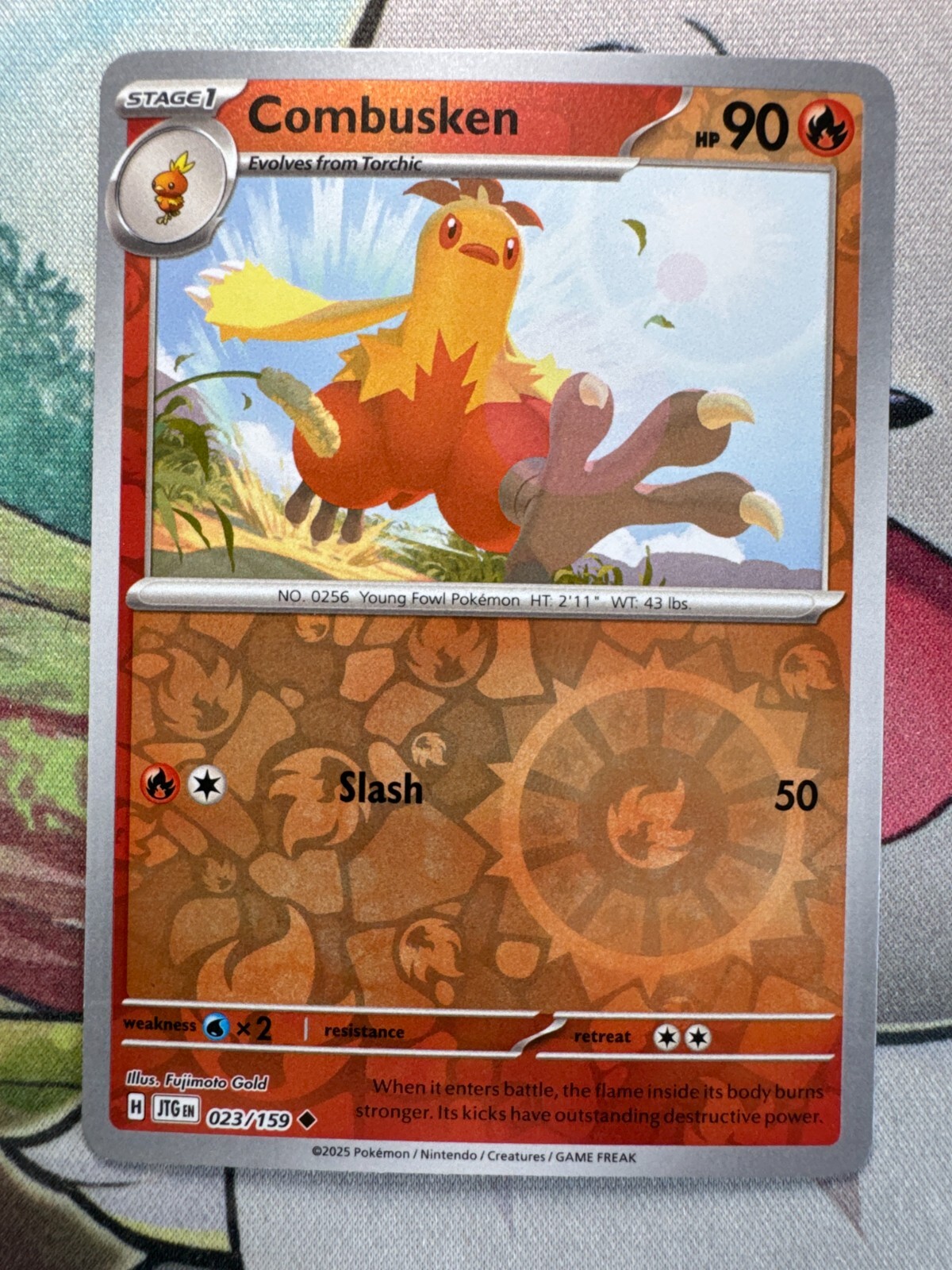 Combusken Reverse Holo English Pokemon TCG BKCF766