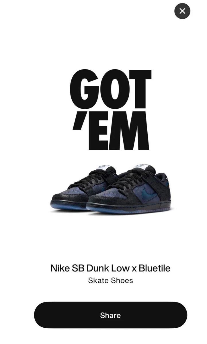 Nike SB Dunk Pro Low Black for Sale | Authenticity Guaranteed | eBay