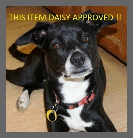 Proto JHANDIM Juego de Destornillador de Mano de Impacto 3/8" Drive 13 Piezas Foto 4 de 4