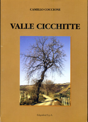 Poggiofiorito Chieti Camillo Coccione Valle Cicchitte Poesia Abruzzo 177 - Foto 1 di 1