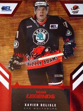 LE15 Xavier Delisle Grizzly Adams Wolfsburg DEL 2008-09