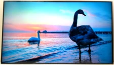 Samsung QBC 85" Smart Digital Signage Commercial Display 4K 60Hz LH85QBCEBGCXGO