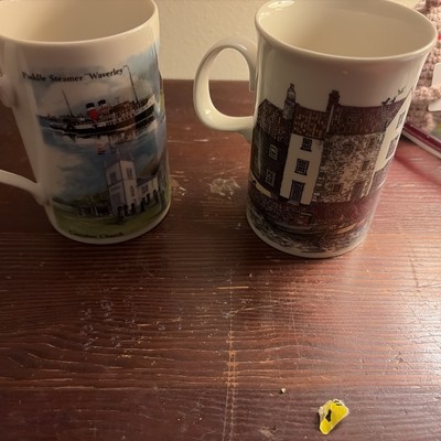 Set of 2 Dunoon Fine Bone China Mugs England