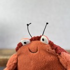 Foto 4 di 10