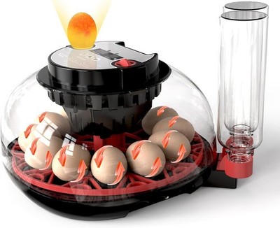 12 Egg Incubator Automatic Turner for Chicken Duck Quail External Water Refill
