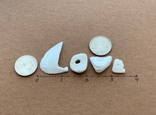 Insegna naturale a forma di lettera "amore" spiaggia conchiglia parola arte/artigianato anniversario ❤️ USA - Foto 7 di 15