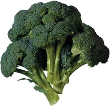 BROCCOLI 15 VEGETABLE SEEDS FREE USA SHIPPING