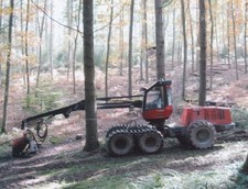 Holz Vollernter Foto im 10er Format Sammlungsauflösung - cd1-50-1