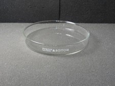 Pyrex 3160-152BO Dish, Culture, Petri 150 x 20mm Bottoms Only