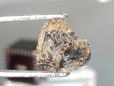 NWA 14429, Diogenite,  0.54g, HED group meteorite fragment, large OP crystals