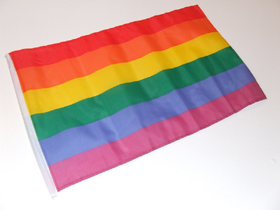Regenbogen Rainbow Fahne 30x45 cm Hohlsaum Banner Flagge