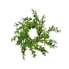 Plastic Rings Wreaths 9 inch Green 2 Count