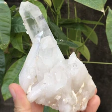 482g  Natural Clear White Quartz Crystal Cluster Rough Healing Specimen