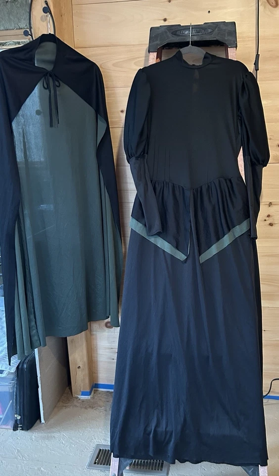 Disfraz de Bruja Malvada Mago de Oz Adulto, Grande Foto 2 de 4