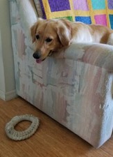 Large dog rope toys, hand knotted from 1 piece of 5/8 dense cotton rope.