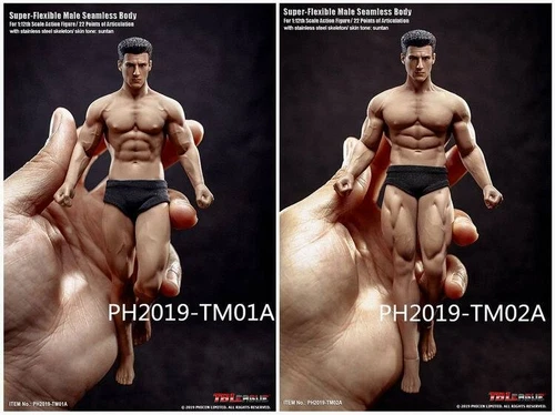 1/12 TM01A Seamless Flexible Strong Muscular body Male Action Figure Doll Head - Picture 9 of 9