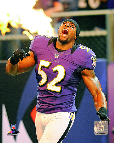 NFL Football Ray Lewis Baltimore Ravens Photo Picture Print #1377