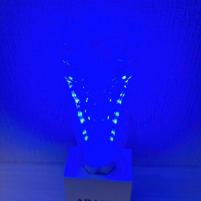 ARASHI 2026 Dome Tour We are ARASHI Official Penlight Concert