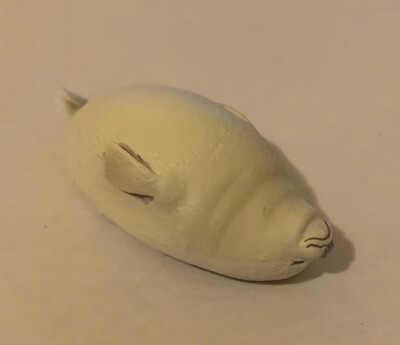 Set of 2 Sleeping Baby Seal Refrigerator Magnets - Office/Kitchen Decoration