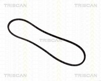 Triscan Keilriemen U.A. FüR Audi, CitroËN, Geo, Peugeot, Renault, Saipa