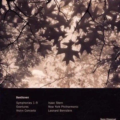 l. Bernstein - Complete Symphonies and Violin Concerto
