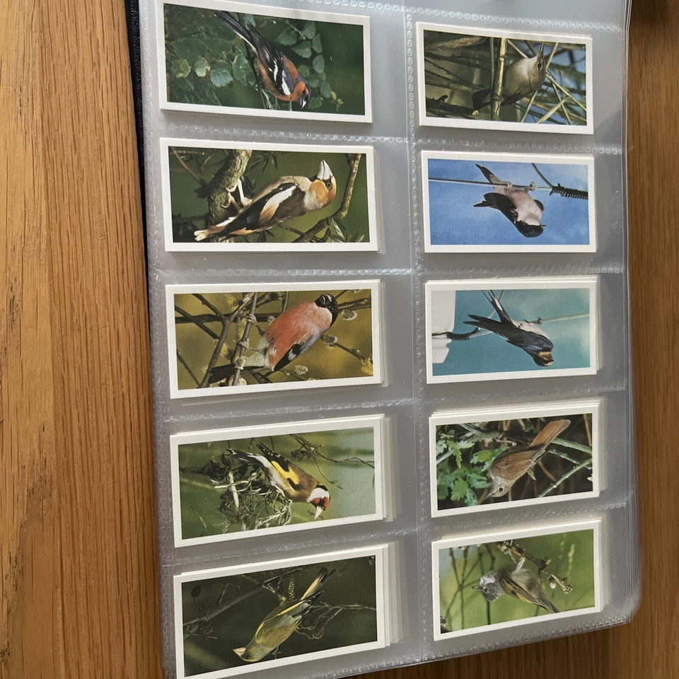 Carreras Craven Black Cat British Birds Full Set of 50 Cigarette cards  - Image 4 of 4